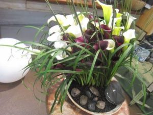 💫2025プレミアムフローリストコース💓